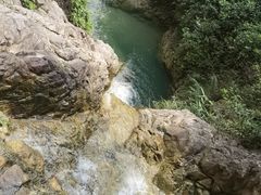 -南海湾森林生态园