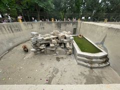 -保定市动物园