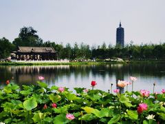 -西海子公园