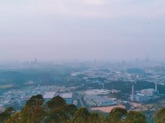 -水濂山森林公园