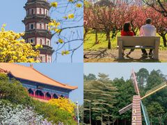 -广州莲花山旅游区