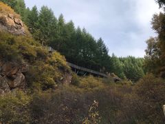 -苏木山森林公园