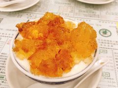 桃胶双皮奶-仁信老铺(华盖路店)