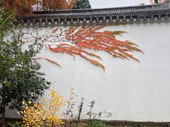 -孔氏南宗家庙