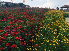 -北纬44度·金珠花海休闲农业旅游景区