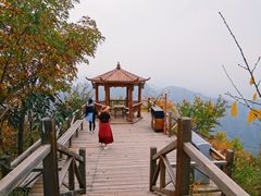 -大岭沟猕猴桃谷风景区