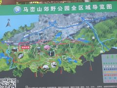 -马峦山郊野公园