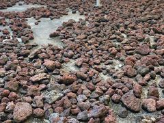 -海口火山口国家地质公园