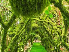 -呀路古热带植物园