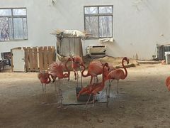 -秦皇岛野生动物园