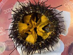 加拿大金刚红海胆-HIHE Bistro·Oyster Bar(华熙live店)