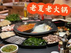 -老夏老火锅(西安南路总店)
