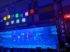 -泉城欧乐堡海洋极地世界