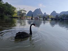-靖西鹅泉风景区