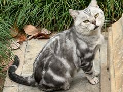 -西安大兴善寺