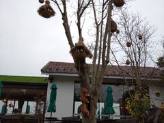-石湖景区