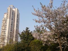 -玉山公园