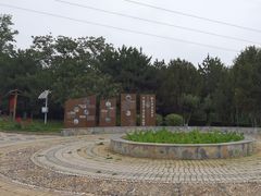 -云岗森林公园