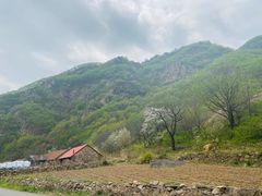 -大连天门山国家森林公园