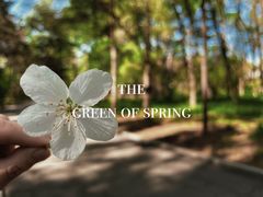 -长春市南湖公园