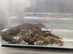 -温度铁板烧(亚泰大街店)