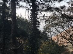 -罗田天堂寨风景区