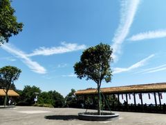 -广州市帽峰山景区