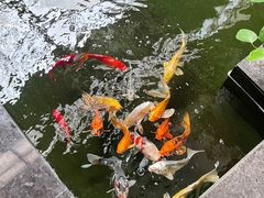 -天津海河悦榕庄·Lobby Lounge大堂吧