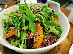 -百好乐宠物友好餐厅(朝外大街店)