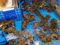 水产区-尚品家宴(槐荫店)