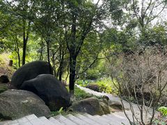 -火炉山森林公园