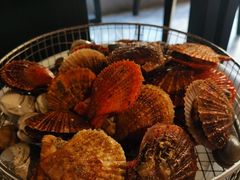 野生扇贝-海味当家·蒸锅海鲜(星海公园店)