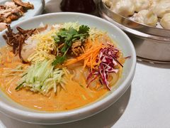 自制五彩拉皮-王厚元饺子·辽菜·烤鸭(工会大厦店)