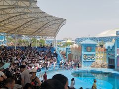 -华夏文旅海洋公园