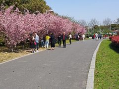 -九里河湿地公园