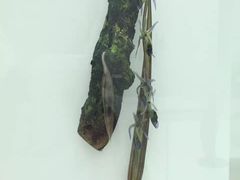 -康宁玻璃博物馆