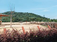 -杭州野生动物世界