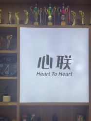 -心联形象设计·流星染