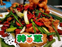 -金龙·打边炉(南京西路店)