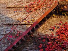 -半岛1919创意园区