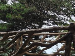 -安徽天堂寨风景区