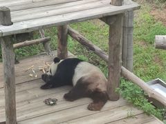 -大连森林动物园