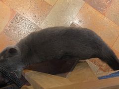 -Me Coffee下午茶艺术空间