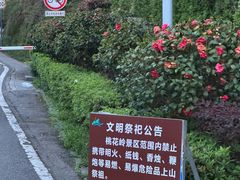 -桃花岭景区
