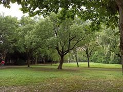 -大宁郁金香公园-停车场