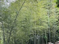 -千泷沟大瀑布旅游区