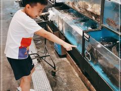 水产区-盒马鲜生(宝地店)
