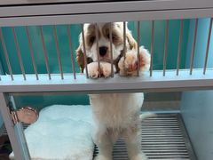 -FAELING PETS美天灵宠物(合生汇店)
