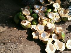 android_upload_pic-红色娘子军纪念园