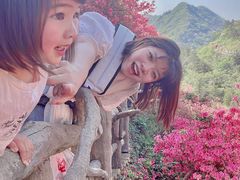 -木兰云雾山